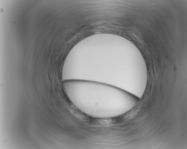 X0000061140233200512091942