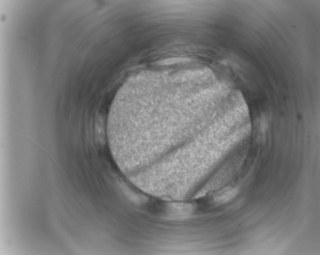 X0000061140234200512091942