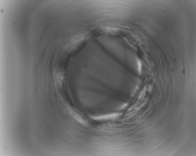 X0000061140235200512091942