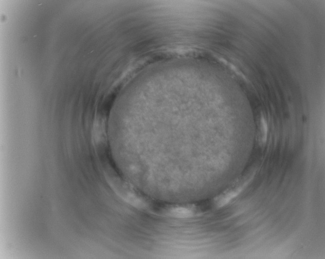 X0000061140236200512091942