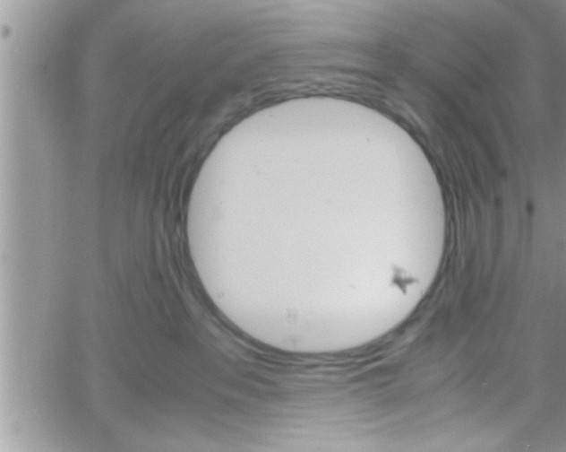 X0000061140237200512091942