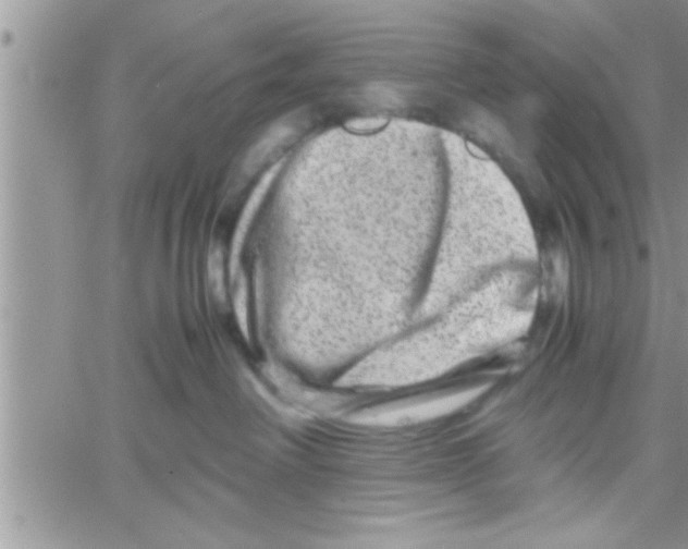 X0000061140238200512091942