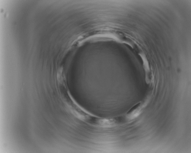 X0000061140239200512091942