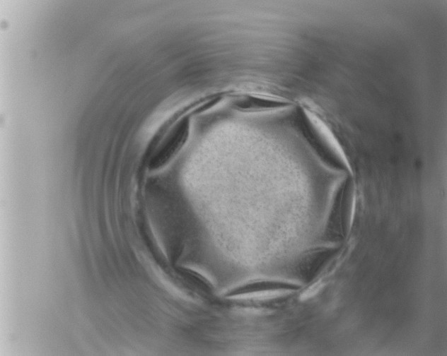 X0000061140242200512091941