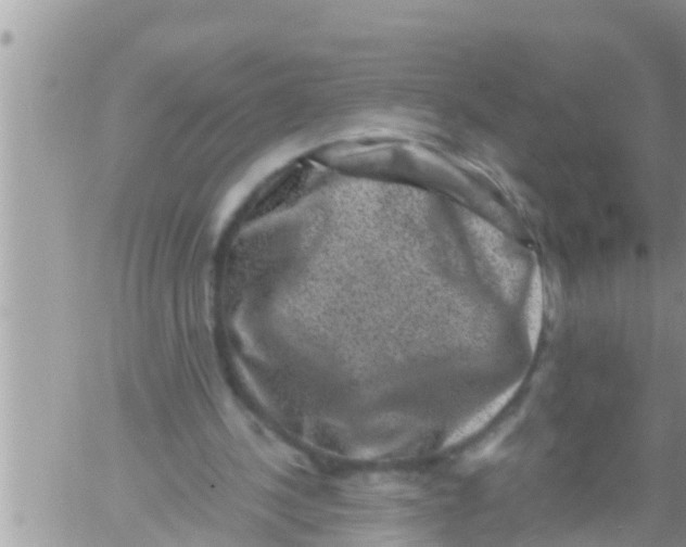 X0000061140244200512091941