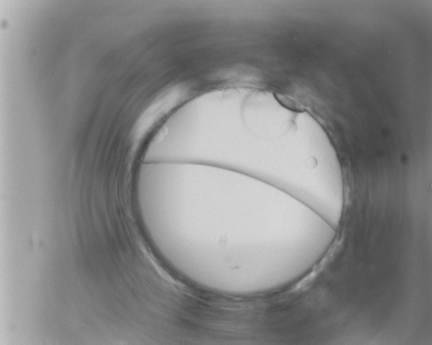 X0000061140245200512091941