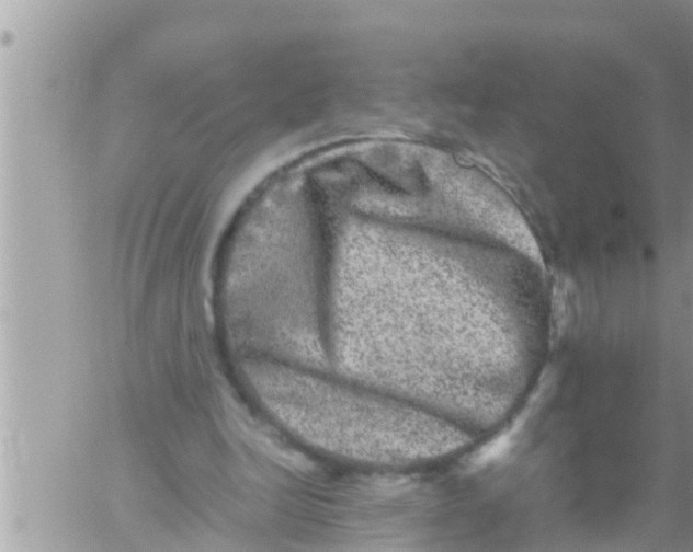 X0000061140246200512091941