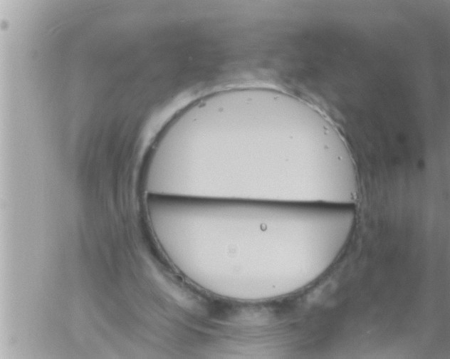 X0000061140248200512091941