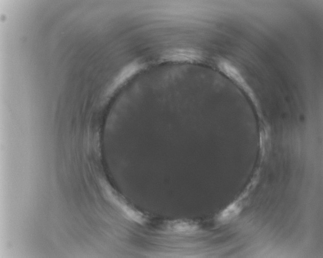 X0000061140249200512091941