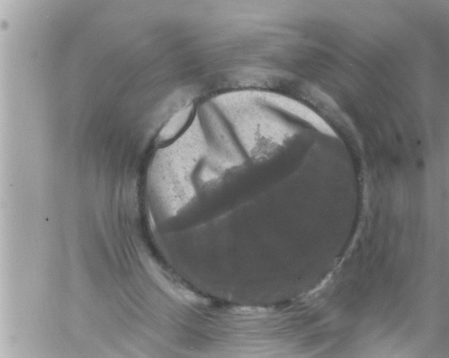 X0000061140250200512091941