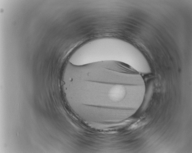 X0000061140251200512091941