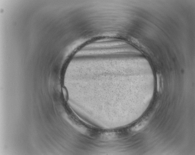 X0000061140252200512091941