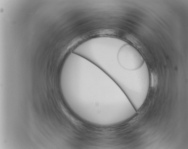 X0000061140253200512091941