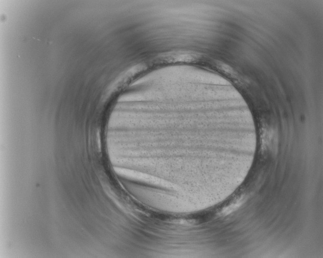 X0000061140254200512091941