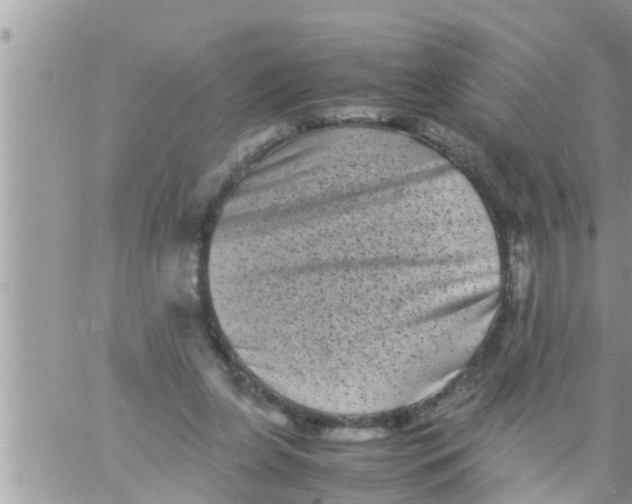 X0000061140255200512091941