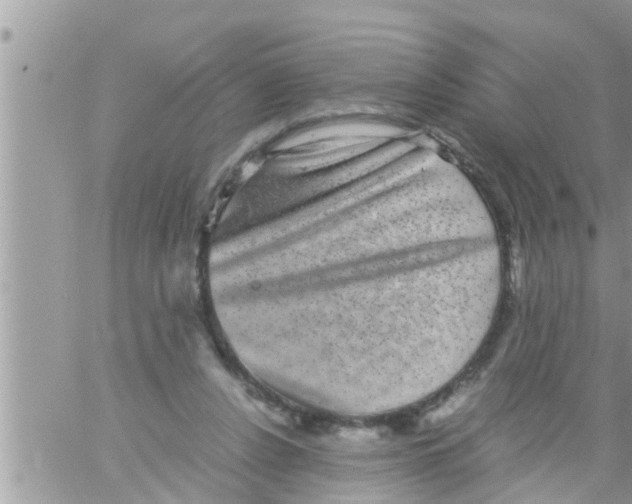 X0000061140256200512091941