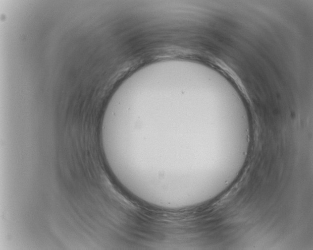 X0000061140257200512091941