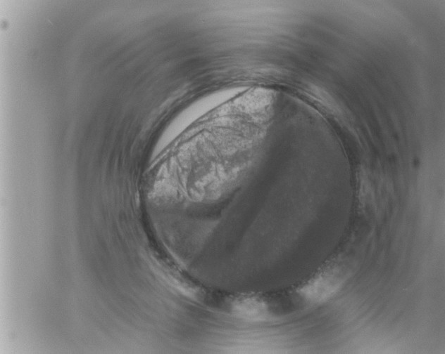 X0000061140258200512091941