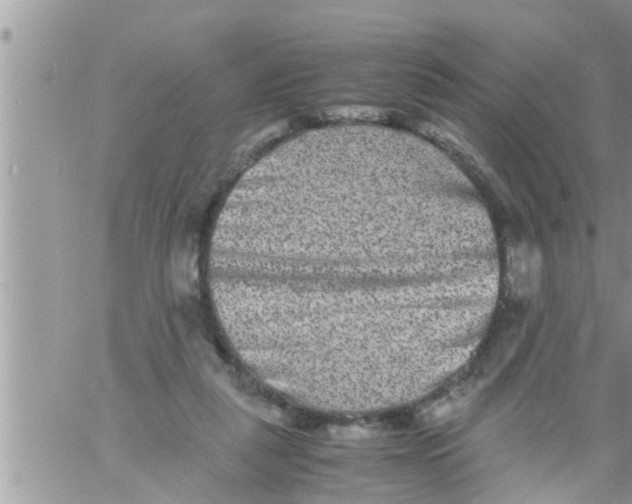 X0000061140259200512091941