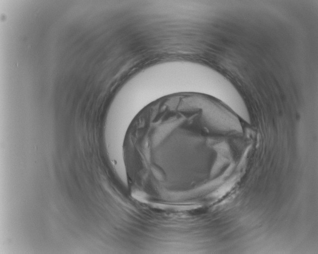 X0000061140262200512091941