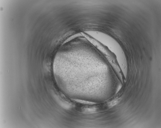 X0000061140263200512091941