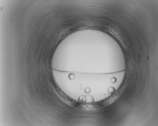 X0000061140265200512091941