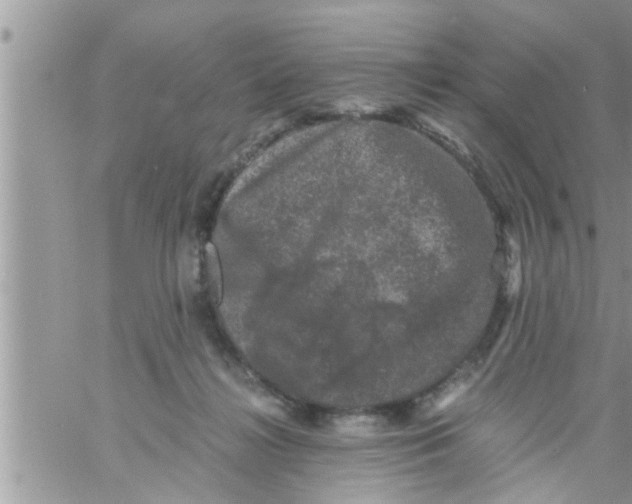 X0000061140268200512091941