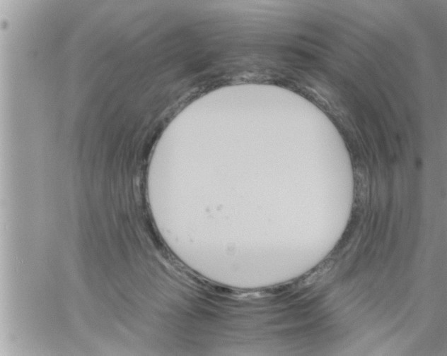 X0000061140269200512091941