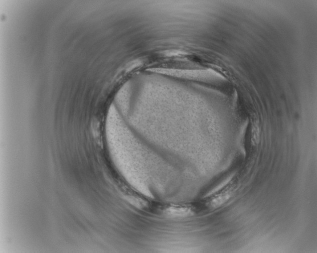 X0000061140270200512091941