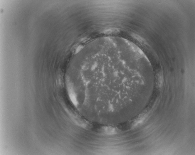 X0000061140272200512091941