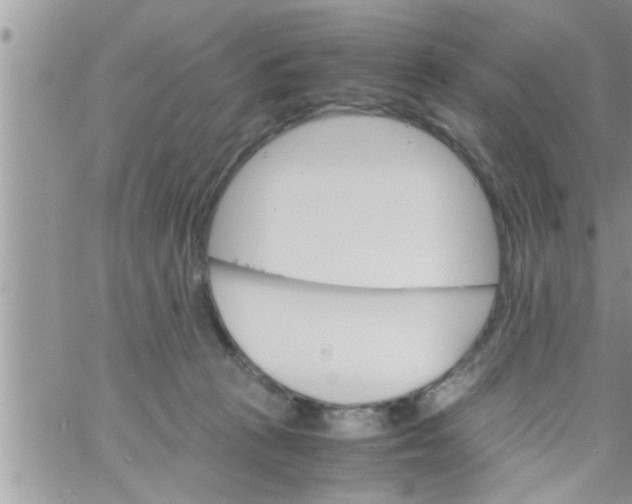 X0000061140273200512091941