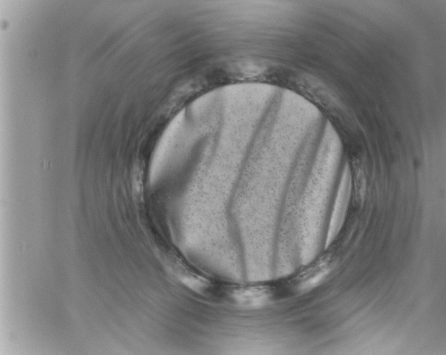 X0000061140274200512091941