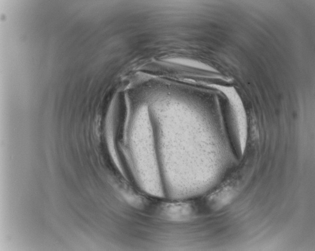 X0000061140275200512091941