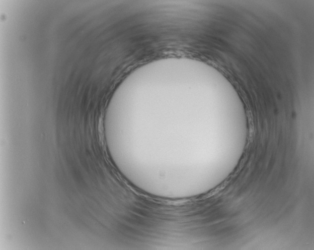 X0000061140276200512091941