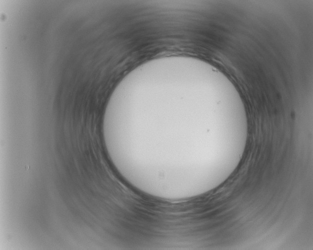 X0000061140277200512091941