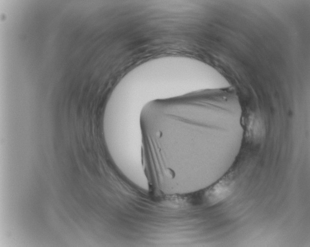 X0000061140278200512091941