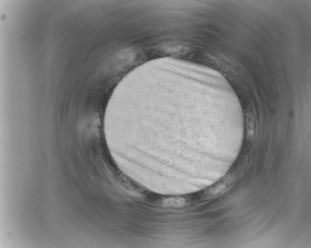 X0000061140279200512091941