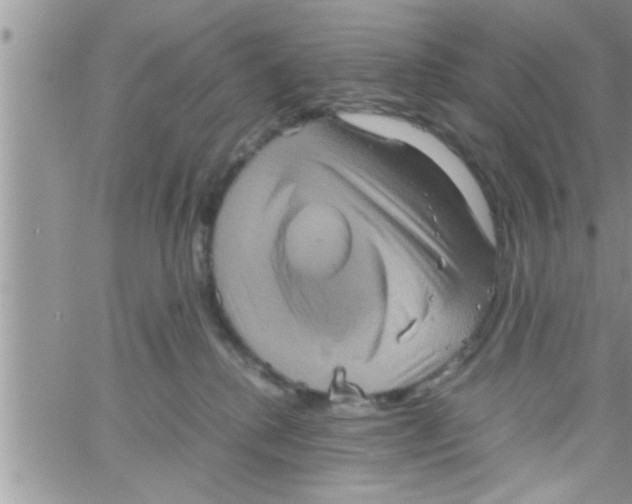 X0000061140280200512091941