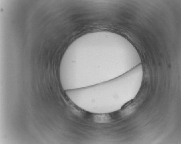 X0000061140281200512091941