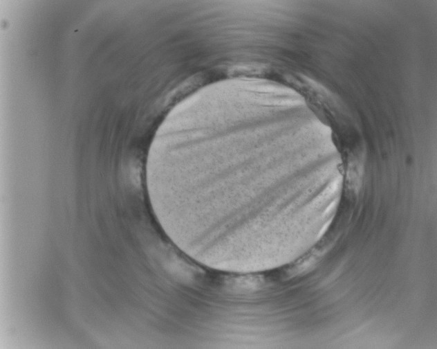 X0000061140282200512091941