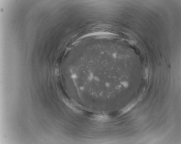 X0000061140284200512091941