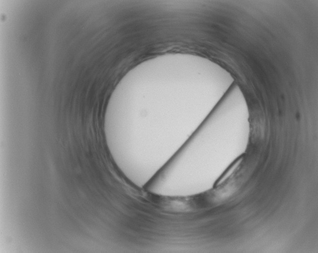 X0000061140285200512091941