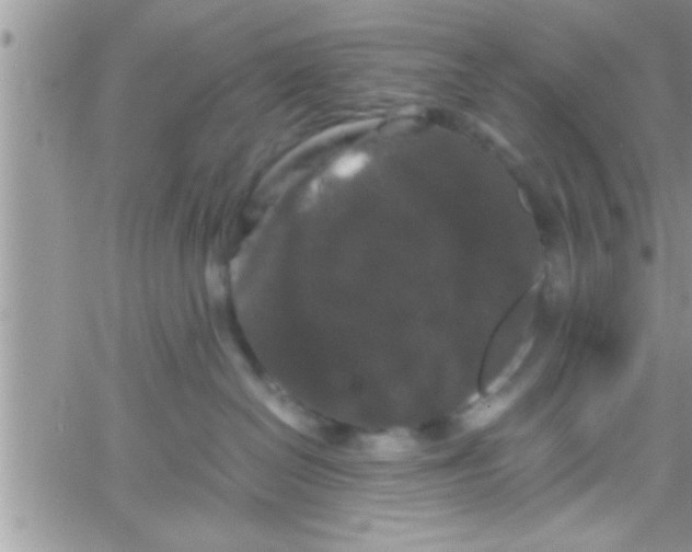 X0000061140286200512091941