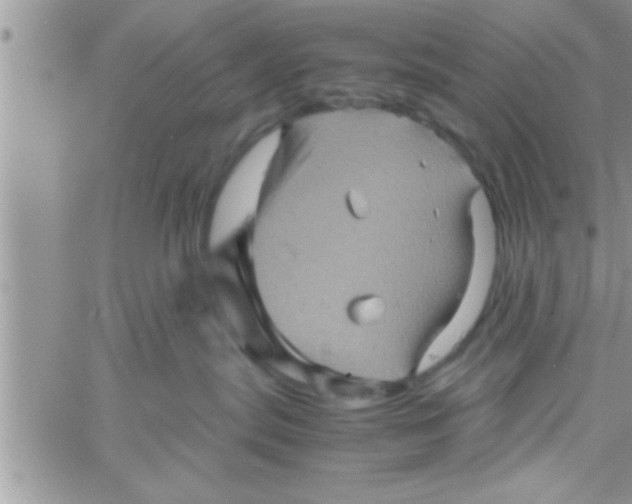 X0000061140287200512091942