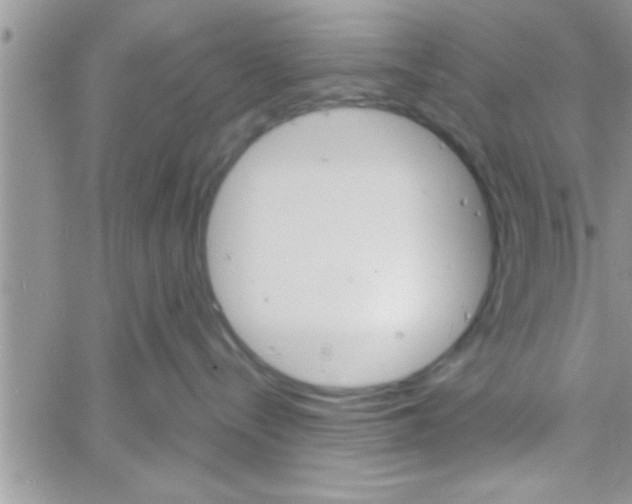 X0000061140288200512091942