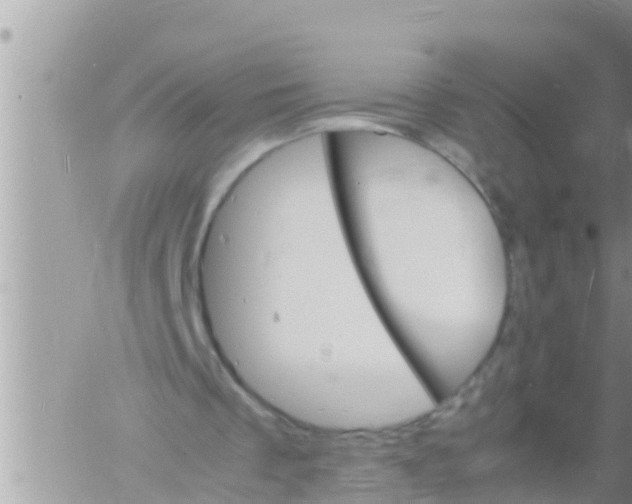 X0000061140289200512091941