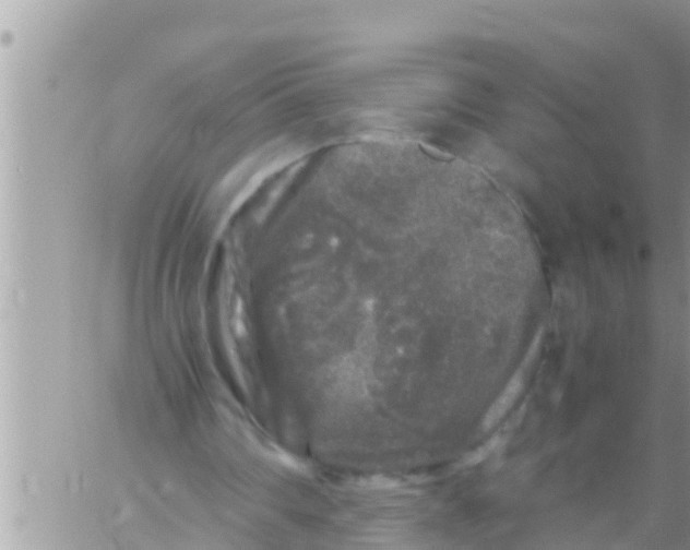 X0000061140290200512091941