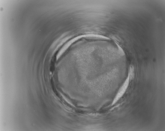 X0000061140291200512091941