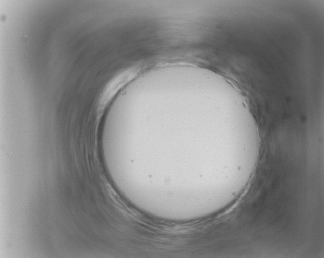 X0000061140293200512091941