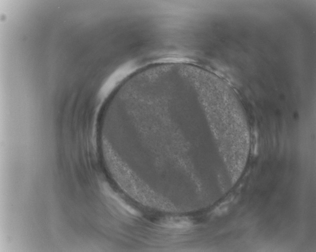 X0000061140296200512091941